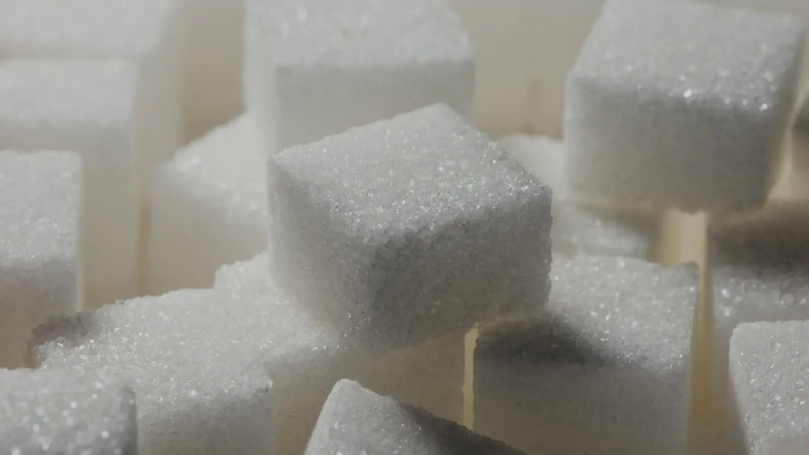 Close up of white sugar cubes in soft light