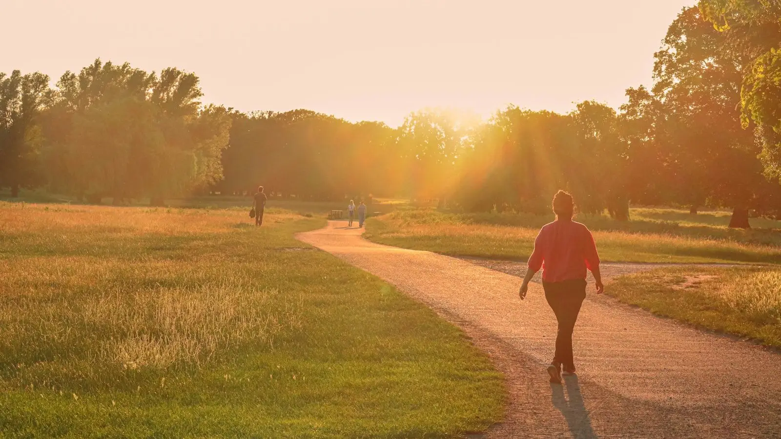 A woman seen from behind walking along a park path in warm golden sunshine